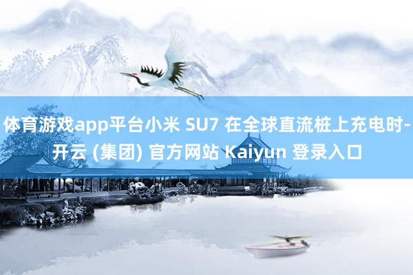 体育游戏app平台小米 SU7 在全球直流桩上充电时-开云 (集团) 官方网站 Kaiyun 登录入口