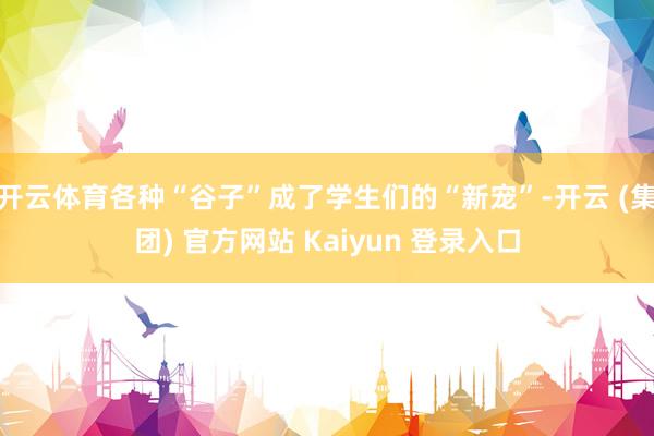开云体育各种“谷子”成了学生们的“新宠”-开云 (集团) 官方网站 Kaiyun 登录入口