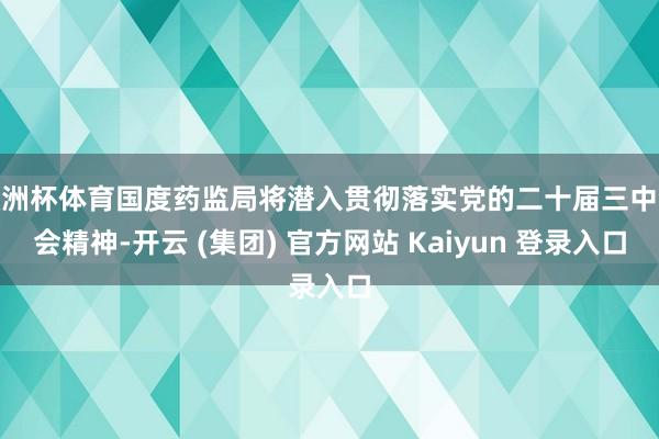 欧洲杯体育国度药监局将潜入贯彻落实党的二十届三中全会精神-开云 (集团) 官方网站 Kaiyun 登录入口