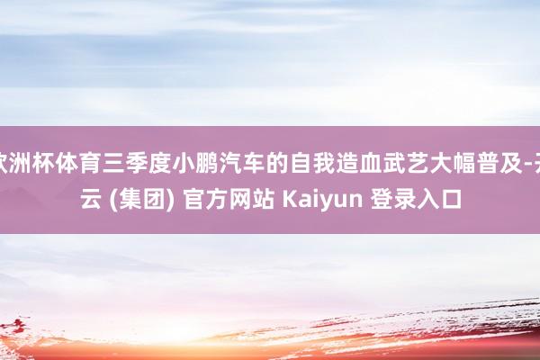 欧洲杯体育三季度小鹏汽车的自我造血武艺大幅普及-开云 (集团) 官方网站 Kaiyun 登录入口