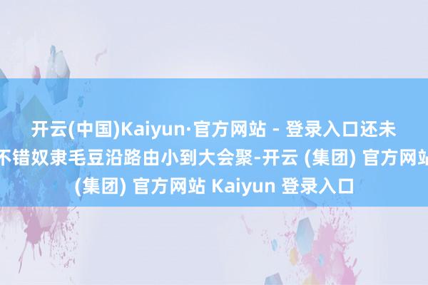 开云(中国)Kaiyun·官方网站 - 登录入口还未会聚宝箱的拓荒者不错奴隶毛豆沿路由小到大会聚-开云 (集团) 官方网站 Kaiyun 登录入口