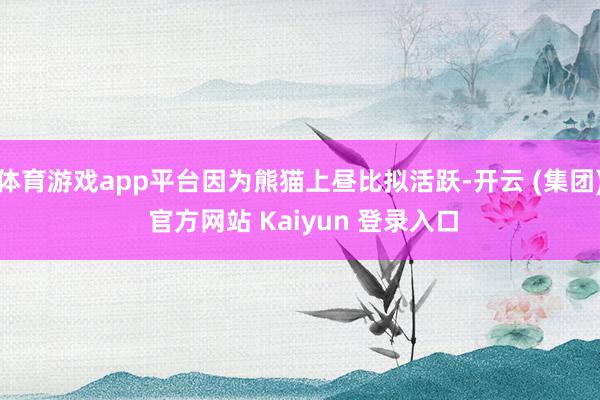 体育游戏app平台因为熊猫上昼比拟活跃-开云 (集团) 官方网站 Kaiyun 登录入口