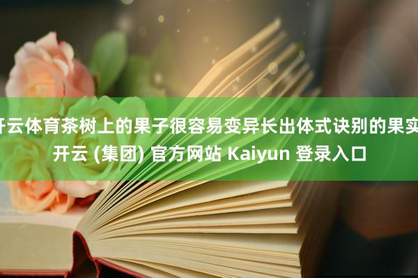 开云体育茶树上的果子很容易变异长出体式诀别的果实-开云 (集团) 官方网站 Kaiyun 登录入口
