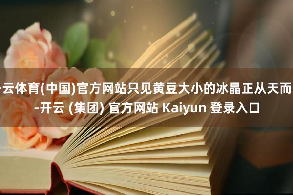 开云体育(中国)官方网站只见黄豆大小的冰晶正从天而下-开云 (集团) 官方网站 Kaiyun 登录入口