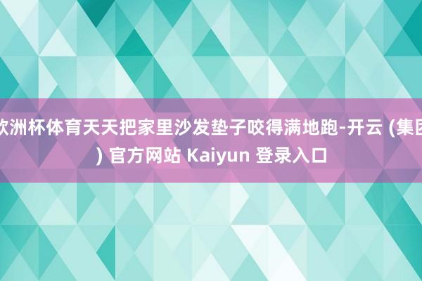 欧洲杯体育天天把家里沙发垫子咬得满地跑-开云 (集团) 官方网站 Kaiyun 登录入口
