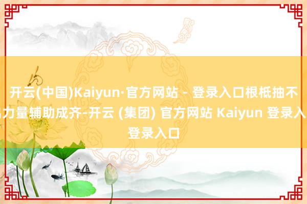 开云(中国)Kaiyun·官方网站 - 登录入口根柢抽不出力量辅助成齐-开云 (集团) 官方网站 Kaiyun 登录入口