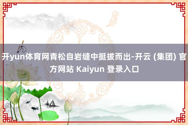 开yun体育网青松自岩缝中挺拔而出-开云 (集团) 官方网站 Kaiyun 登录入口