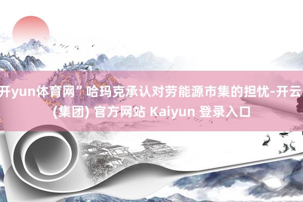 开yun体育网”哈玛克承认对劳能源市集的担忧-开云 (集团) 官方网站 Kaiyun 登录入口
