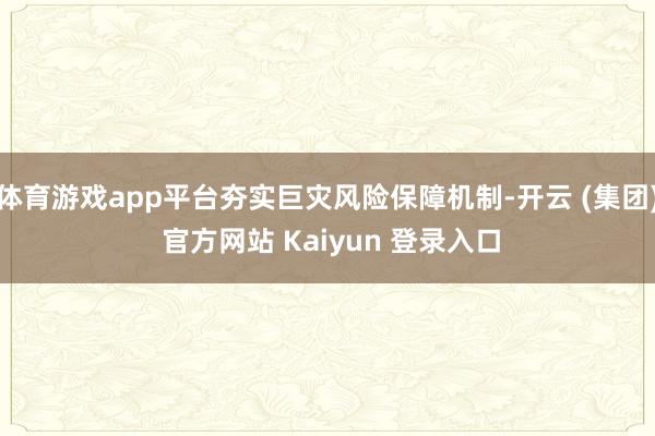 体育游戏app平台夯实巨灾风险保障机制-开云 (集团) 官方网站 Kaiyun 登录入口