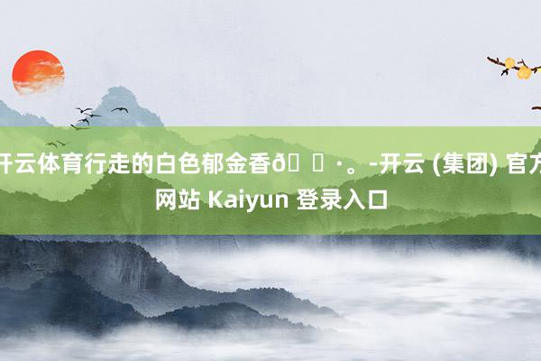 开云体育行走的白色郁金香🌷。-开云 (集团) 官方网站 Kaiyun 登录入口