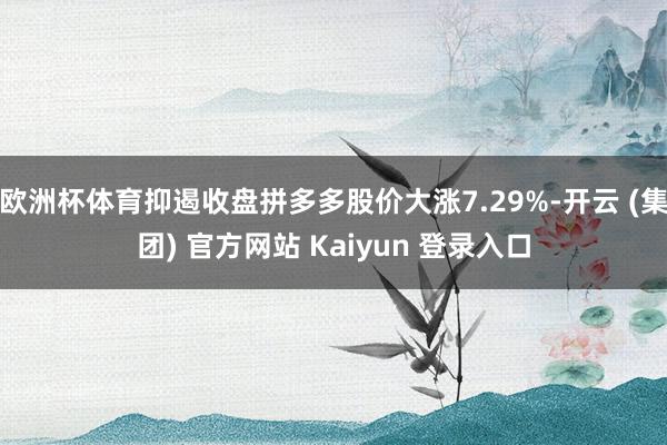 欧洲杯体育抑遏收盘拼多多股价大涨7.29%-开云 (集团) 官方网站 Kaiyun 登录入口