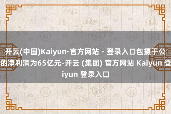 开云(中国)Kaiyun·官方网站 - 登录入口包摄于公司鼓动的净利润为65亿元-开云 (集团) 官方网站 Kaiyun 登录入口