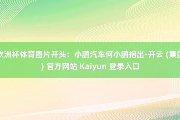 欧洲杯体育图片开头:小鹏汽车何小鹏指出-开云 (集团) 官方网站 Kaiyun 登录入口