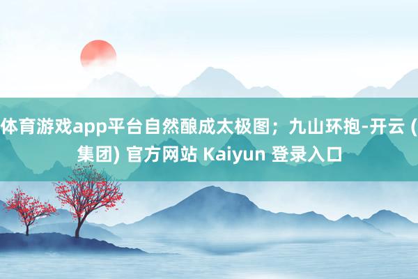 体育游戏app平台自然酿成太极图；九山环抱-开云 (集团) 官方网站 Kaiyun 登录入口