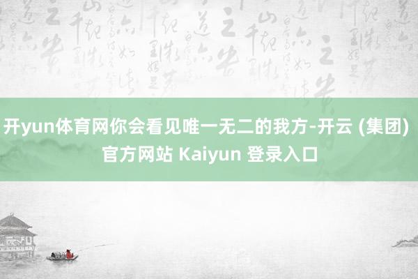 开yun体育网你会看见唯一无二的我方-开云 (集团) 官方网站 Kaiyun 登录入口