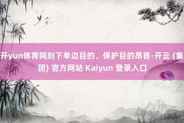 开yun体育网刻下单边目的、保护目的昂首-开云 (集团) 官方网站 Kaiyun 登录入口