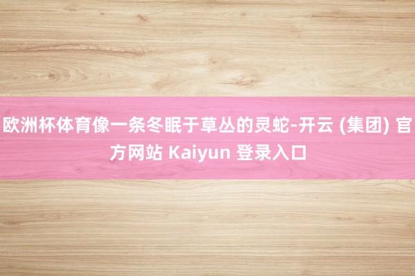 欧洲杯体育像一条冬眠于草丛的灵蛇-开云 (集团) 官方网站 Kaiyun 登录入口