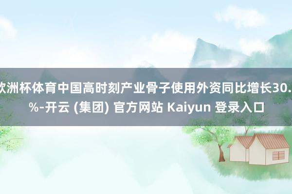 欧洲杯体育中国高时刻产业骨子使用外资同比增长30.7%-开云 (集团) 官方网站 Kaiyun 登录入口