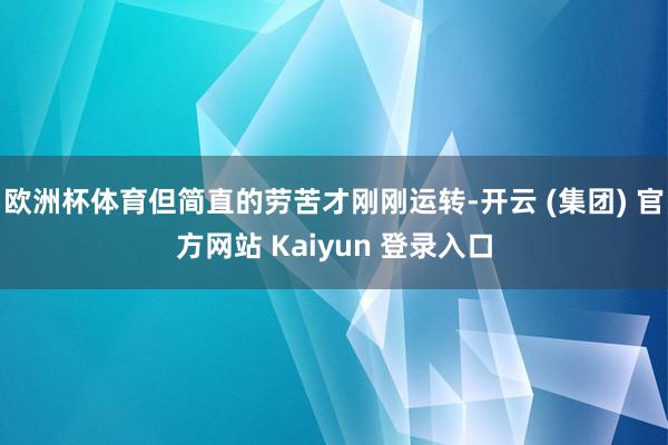 欧洲杯体育但简直的劳苦才刚刚运转-开云 (集团) 官方网站 Kaiyun 登录入口