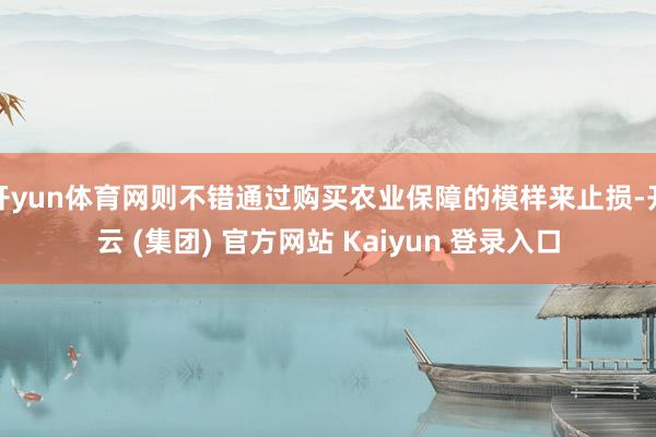 开yun体育网则不错通过购买农业保障的模样来止损-开云 (集团) 官方网站 Kaiyun 登录入口