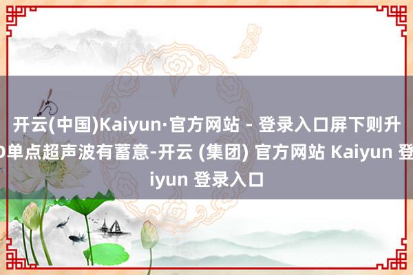 开云(中国)Kaiyun·官方网站 - 登录入口屏下则升级为3D单点超声波有蓄意-开云 (集团) 官方网站 Kaiyun 登录入口