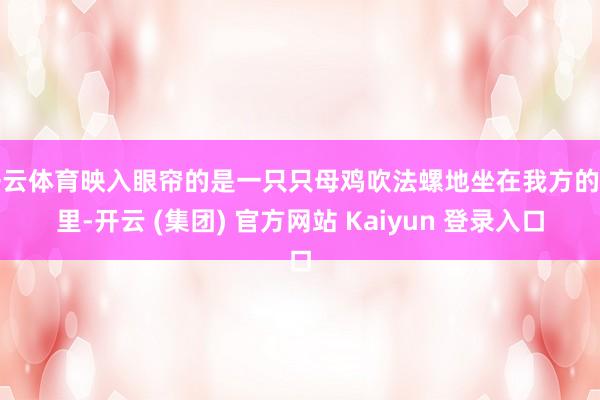 开云体育映入眼帘的是一只只母鸡吹法螺地坐在我方的窝里-开云 (集团) 官方网站 Kaiyun 登录入口
