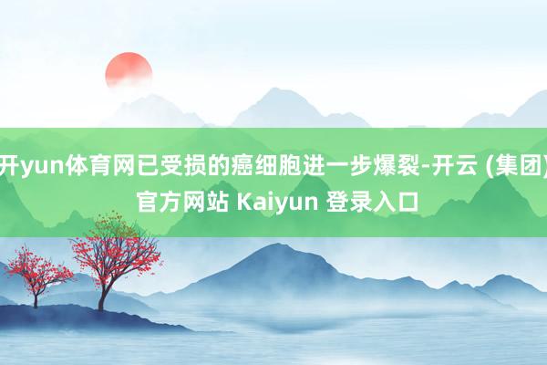 开yun体育网已受损的癌细胞进一步爆裂-开云 (集团) 官方网站 Kaiyun 登录入口