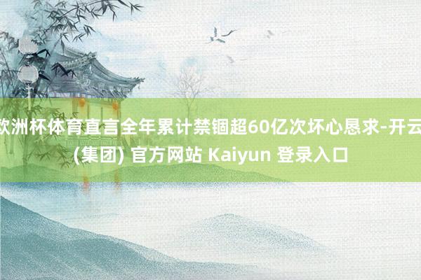 欧洲杯体育直言全年累计禁锢超60亿次坏心恳求-开云 (集团) 官方网站 Kaiyun 登录入口