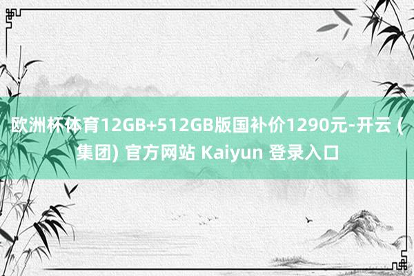 欧洲杯体育12GB+512GB版国补价1290元-开云 (集团) 官方网站 Kaiyun 登录入口