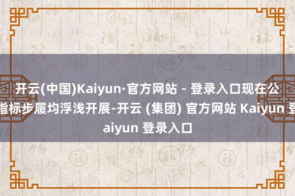 开云(中国)Kaiyun·官方网站 - 登录入口现在公司各项指标步履均浮浅开展-开云 (集团) 官方网站 Kaiyun 登录入口