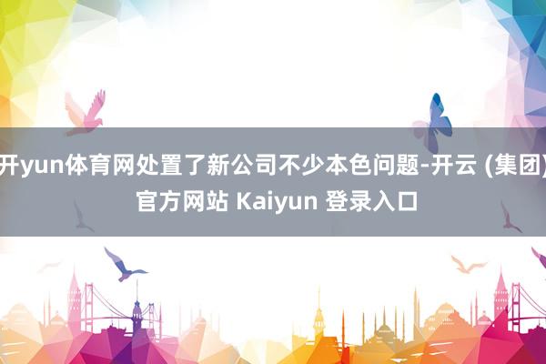 开yun体育网处置了新公司不少本色问题-开云 (集团) 官方网站 Kaiyun 登录入口